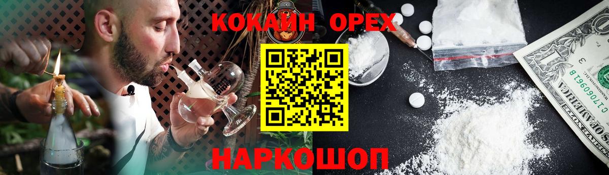 Галлюциногенные грибы Советский