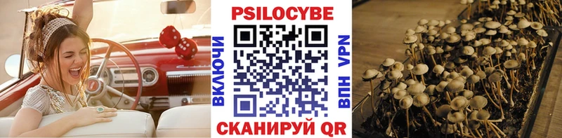 купить наркоту  Советский  Галлюциногенные грибы Cubensis 