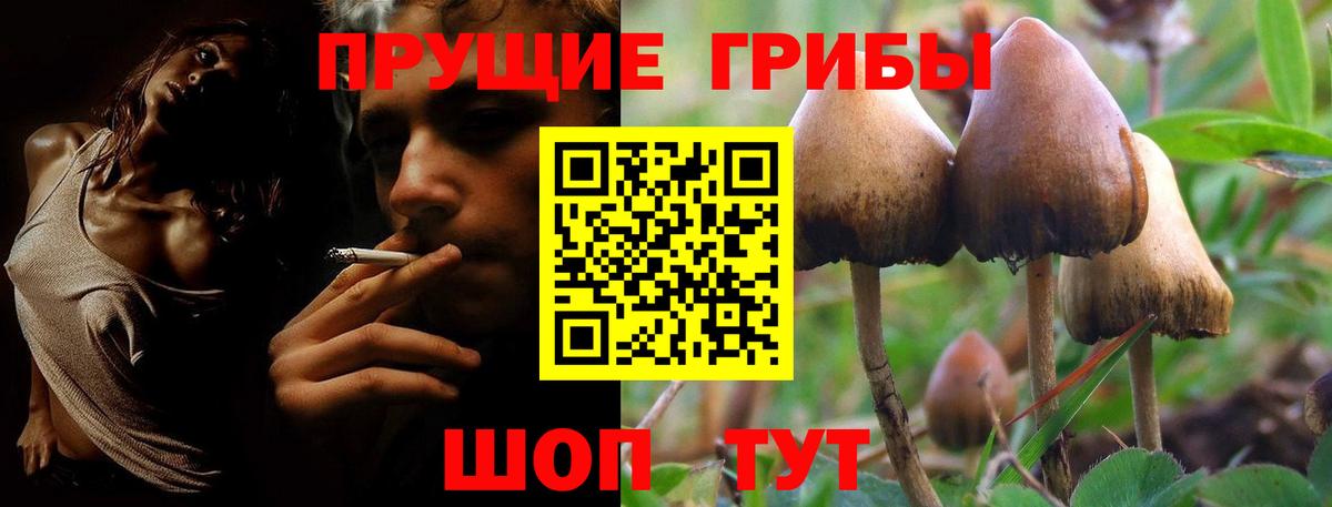 Галлюциногенные грибы мицелий  где купить   Вход с VPN  Советский  Псилоцибиновые грибы Cubensis 
