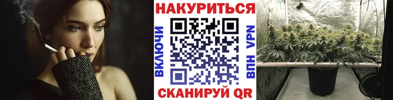 купить наркотики сайты  маркетплейс наркотические препараты  Бошки марихуана сатива  Советский 